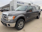 2014 F-150 Thumbnail 2