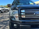 2014 F-150 Thumbnail 18