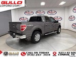 2014 F-150 Thumbnail 2
