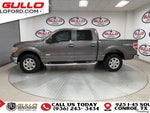 2014 F-150 Thumbnail 5