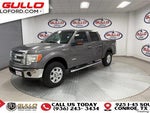 2014 F-150 Thumbnail 6