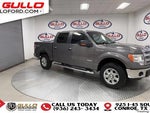 2014 F-150 Thumbnail 8