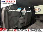 2014 F-150 Thumbnail 16