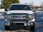 2014 F-150 Thumbnail 3