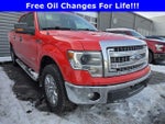2014 F-150 Thumbnail 1
