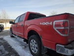 2014 F-150 Thumbnail 3