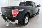 2014 F-150 Thumbnail 9