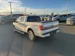 2011 F-150 Thumbnail 4