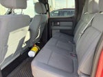 2012 F-150 Thumbnail 11
