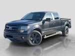 2013 F-150 Thumbnail 1