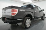 2013 F-150 Thumbnail 8