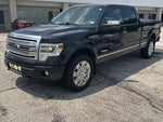 2013 F-150 Thumbnail 1