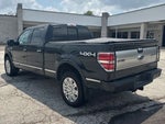 2013 F-150 Thumbnail 5