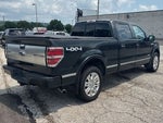 2013 F-150 Thumbnail 8
