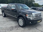 2013 F-150 Thumbnail 12