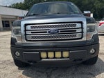 2013 F-150 Thumbnail 14