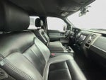 2013 F-150 Thumbnail 10
