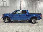 2013 F-150 Thumbnail 7