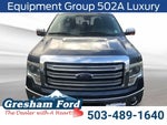 2013 F-150 Thumbnail 10