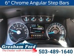 2013 F-150 Thumbnail 18