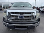 2013 F-150 Thumbnail 3