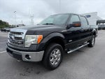 2013 F-150 Thumbnail 4