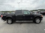 2013 F-150 Thumbnail 8