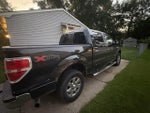 2013 F-150 Thumbnail 5