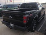 2013 F-150 Thumbnail 5