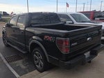 2013 F-150 Thumbnail 4