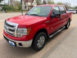 2014 F-150 Thumbnail 3
