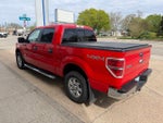2014 F-150 Thumbnail 11