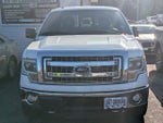 2014 F-150 Thumbnail 2