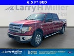 2014 F-150 Thumbnail 33