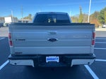 2014 F-150 Thumbnail 3