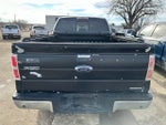 2011 F-150 Thumbnail 6