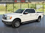 2011 F-150 Thumbnail 1