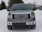 2012 F-150 Thumbnail 3