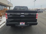 2013 F-150 Thumbnail 7