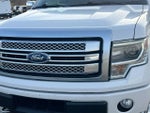 2013 F-150 Thumbnail 11