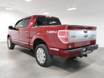 2013 F-150 Thumbnail 7