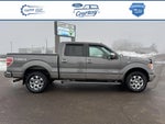 2013 F-150 Thumbnail 1