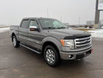 2013 F-150 Thumbnail 2