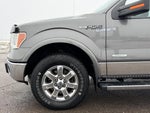 2013 F-150 Thumbnail 5