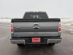 2013 F-150 Thumbnail 9