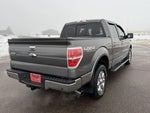 2013 F-150 Thumbnail 10