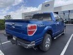 2013 F-150 Thumbnail 4