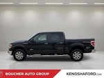 2014 F-150 Thumbnail 8