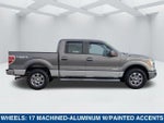 2014 F-150 Thumbnail 3
