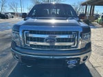 2014 F-150 Thumbnail 3